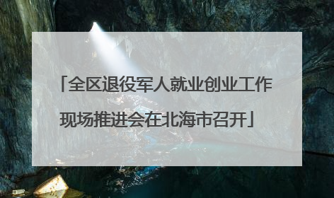 全区退役军人就业创业工作现场推进会在北海市召开
