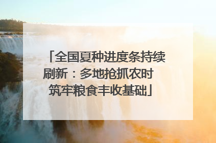 全国夏种进度条持续刷新：多地抢抓农时 筑牢粮食丰收基础