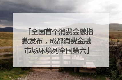 全国首个消费金融指数发布，成都消费金融市场环境列全国第六