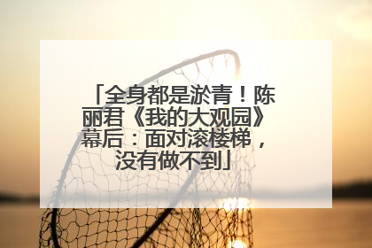 全身都是淤青！陈丽君《我的大观园》幕后：面对滚楼梯，没有做不到
