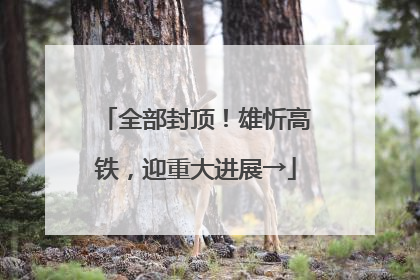 全部封顶！雄忻高铁，迎重大进展→