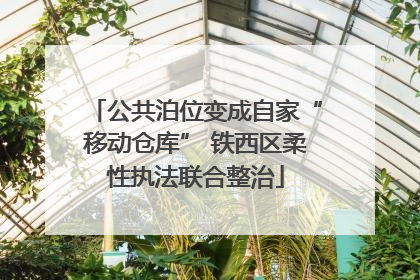 公共泊位变成自家“移动仓库” 铁西区柔性执法联合整治