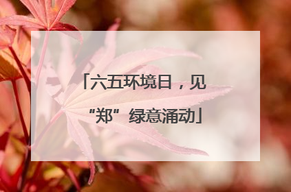 六五环境日，见“郑”绿意涌动