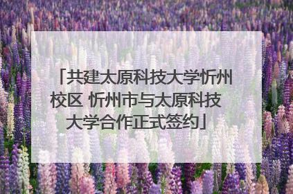 共建太原科技大学忻州校区 忻州市与太原科技大学合作正式签约