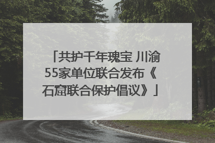 共护千年瑰宝 川渝55家单位联合发布《石窟联合保护倡议》