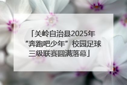 关岭自治县2025年“奔跑吧少年”校园足球三级联赛圆满落幕