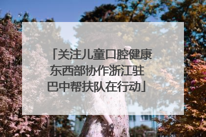 关注儿童口腔健康 东西部协作浙江驻巴中帮扶队在行动