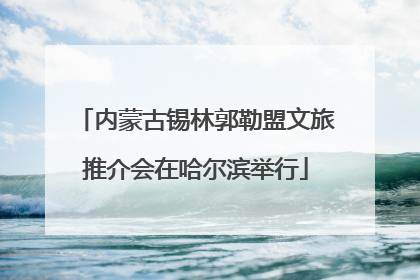 内蒙古锡林郭勒盟文旅推介会在哈尔滨举行