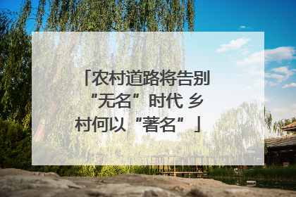 农村道路将告别“无名”时代 乡村何以“著名”