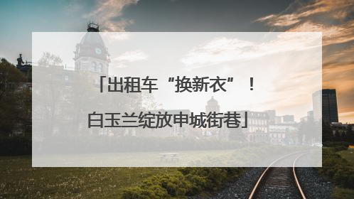 出租车“换新衣”！白玉兰绽放申城街巷