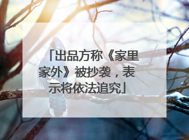 出品方称《家里家外》被抄袭，表示将依法追究