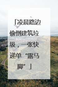 凌晨路边偷倒建筑垃圾，一张快递单“露马脚”