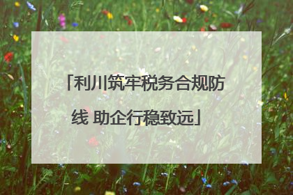 利川筑牢税务合规防线 助企行稳致远