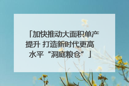 加快推动大面积单产提升 打造新时代更高水平“洞庭粮仓”
