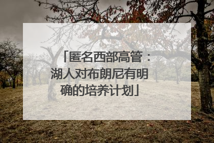 匿名西部高管：湖人对布朗尼有明确的培养计划