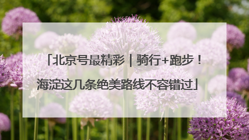 北京号最精彩｜骑行+跑步！海淀这几条绝美路线不容错过