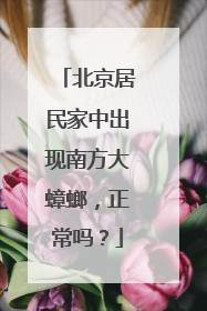 北京居民家中出现南方大蟑螂，正常吗？