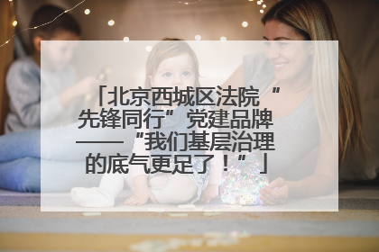 北京西城区法院“先锋同行”党建品牌——“我们基层治理的底气更足了！”