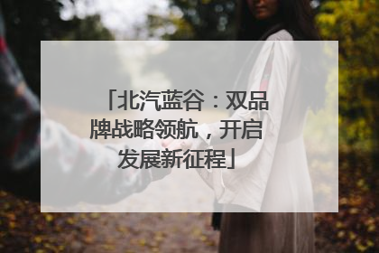 北汽蓝谷：双品牌战略领航，开启发展新征程
