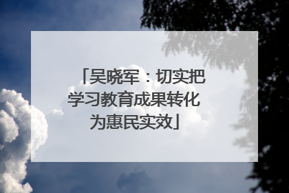 吴晓军：切实把学习教育成果转化为惠民实效