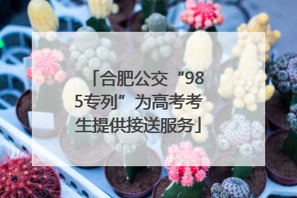 合肥公交“985专列”为高考考生提供接送服务