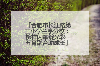 合肥市长江路第三小学兰亭分校：榜样闪耀绽光彩 五育融合助成长