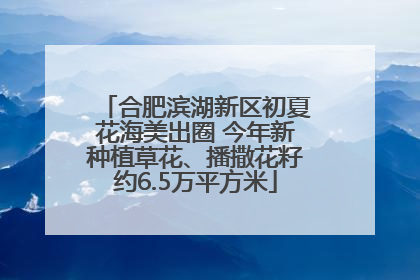 合肥滨湖新区初夏花海美出圈 今年新种植草花、播撒花籽约6.5万平方米