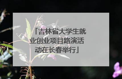 吉林省大学生就业创业项目路演活动在长春举行