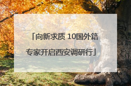 向新求质 10国外籍专家开启西安调研行