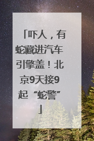 吓人，有蛇藏进汽车引擎盖！北京9天接9起“蛇警”