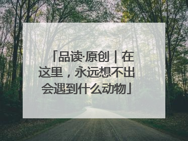 品读·原创｜在这里，永远想不出会遇到什么动物