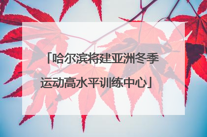 哈尔滨将建亚洲冬季运动高水平训练中心