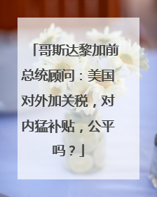 哥斯达黎加前总统顾问：美国对外加关税，对内猛补贴，公平吗？