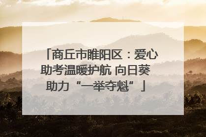 商丘市睢阳区：爱心助考温暖护航 向日葵助力“一举夺魁”
