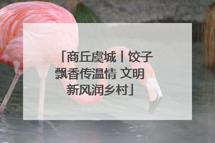 商丘虞城丨饺子飘香传温情 文明新风润乡村