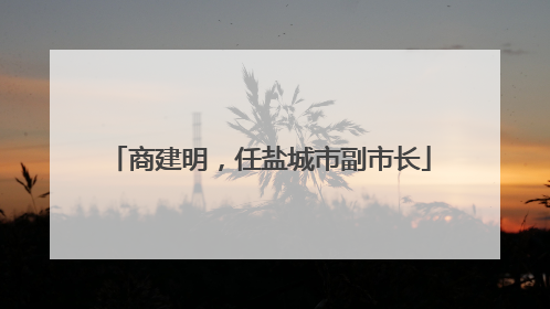 商建明，任盐城市副市长