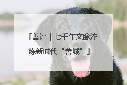 善评｜七千年文脉淬炼新时代“善城”