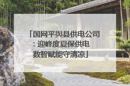 国网平舆县供电公司：迎峰度夏保供电  数智赋能守清凉