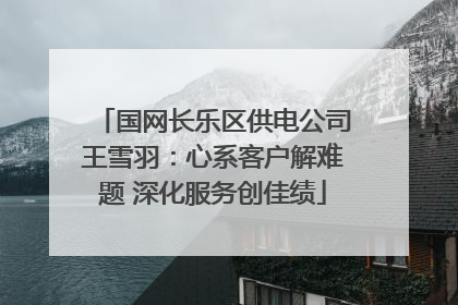 国网长乐区供电公司王雪羽：心系客户解难题 深化服务创佳绩