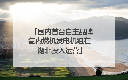 国内首台自主品牌氢内燃机发电机组在湖北投入运营