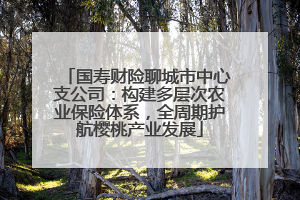 国寿财险聊城市中心支公司：构建多层次农业保险体系，全周期护航樱桃产业发展