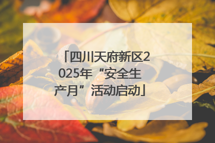四川天府新区2025年“安全生产月”活动启动