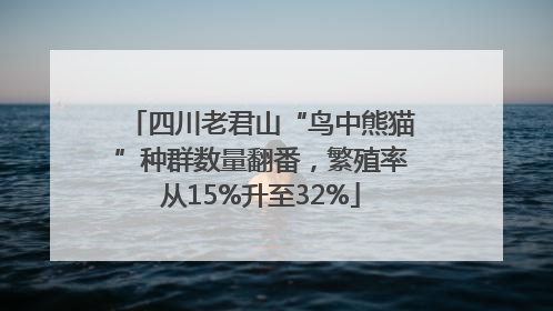 四川老君山“鸟中熊猫”种群数量翻番，繁殖率从15%升至32%
