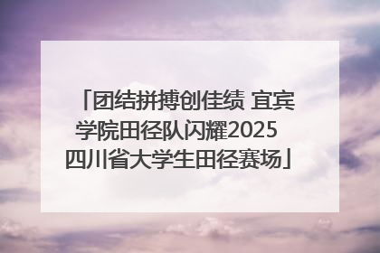 团结拼搏创佳绩 宜宾学院田径队闪耀2025四川省大学生田径赛场
