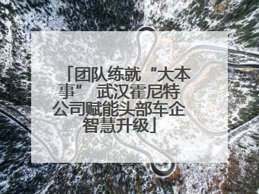 团队练就“大本事” 武汉霍尼特公司赋能头部车企智慧升级