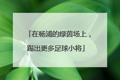 在杨浦的绿茵场上，踢出更多足球小将