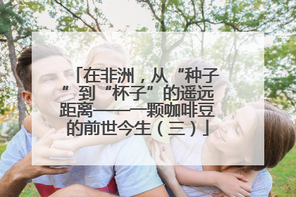 在非洲，从“种子”到“杯子”的遥远距离——一颗咖啡豆的前世今生（三）