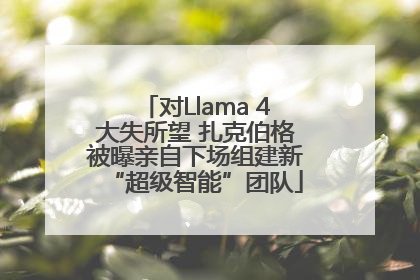 对Llama 4大失所望 扎克伯格被曝亲自下场组建新“超级智能”团队