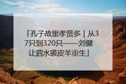 孔子故里孝贤多｜从37只到320只——刘健让泗水裘皮羊重生
