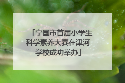 宁国市首届小学生科学素养大赛在津河学校成功举办